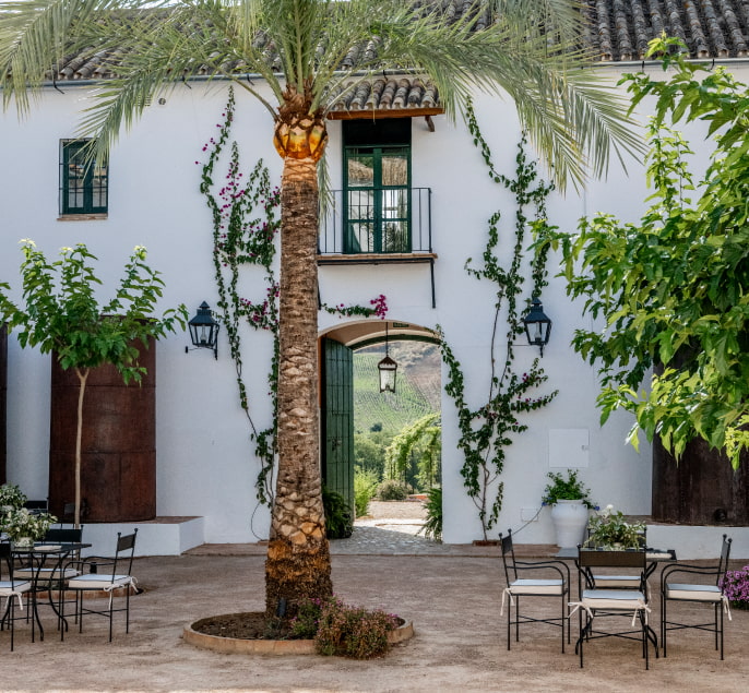 Cordovan style outdoor patio