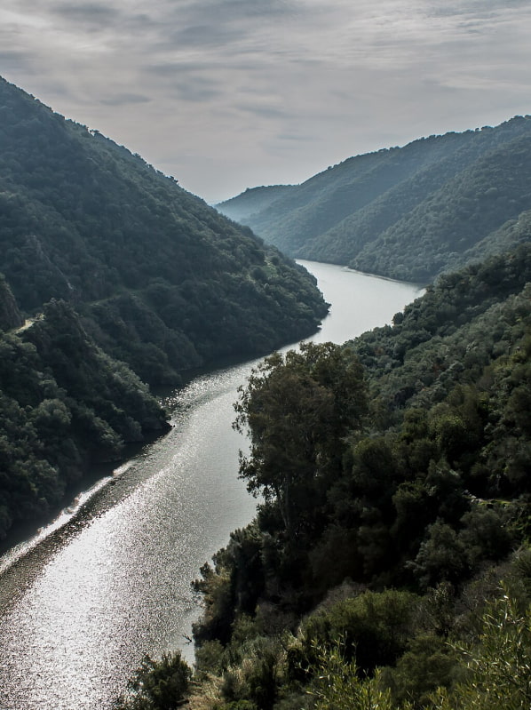 River flowing through the Hornachuelos Nature Reserve