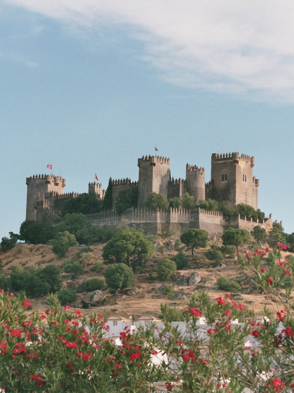 General view of the castle, on the top of a hill