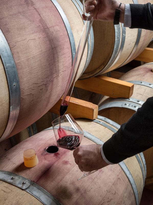 Sommelier analysing a glass of wine next to a wine cask