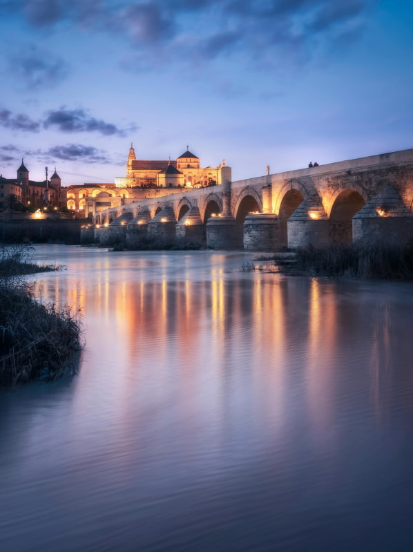 Night view of the Roman Bridge and the Tower of Calahorra