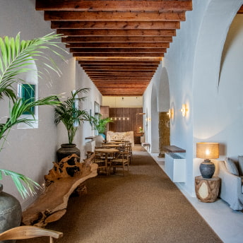 Pasillo exquisitamente decorado con vegetación, piezas de madera y decoración exclusiva