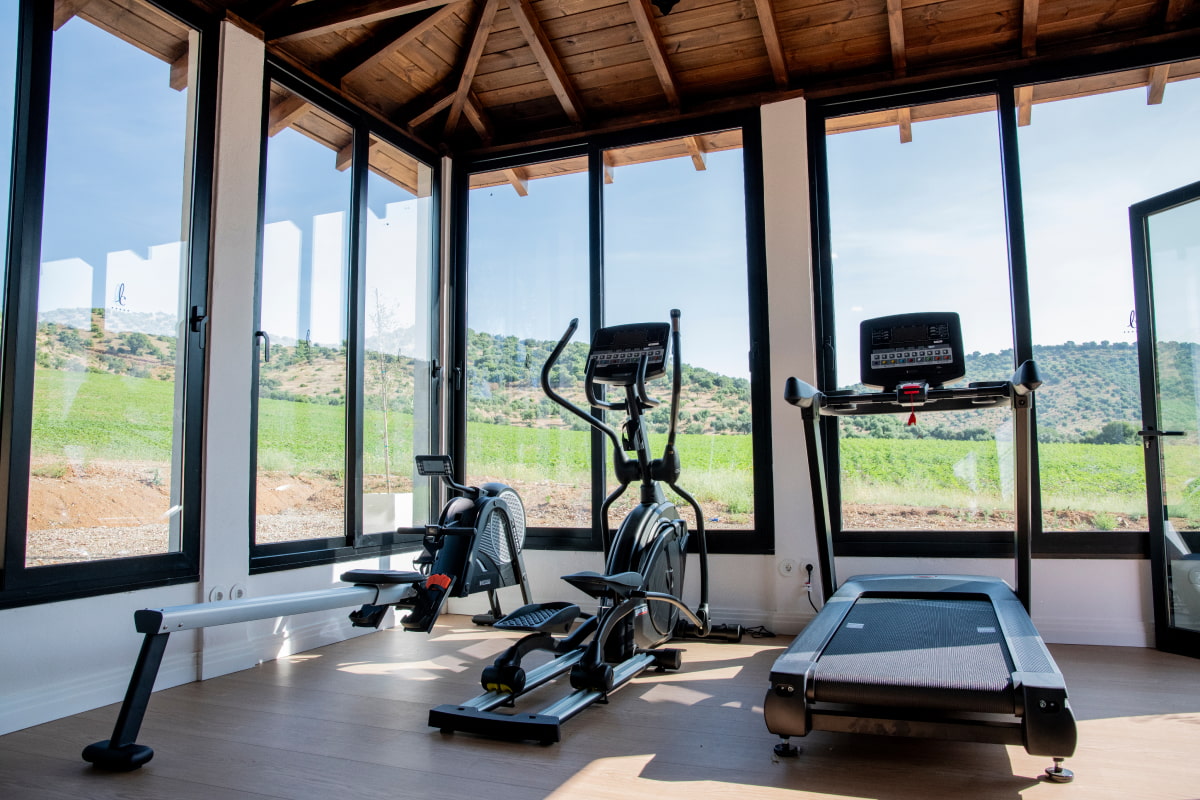 Gimansio con grandes ventanales y vistas al exterior
