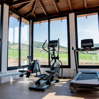 Gimansio con grandes ventanales y vistas al exterior