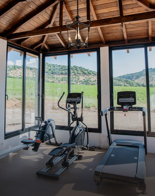 Gimnasio con vistas al entorno de Hotel Corbella